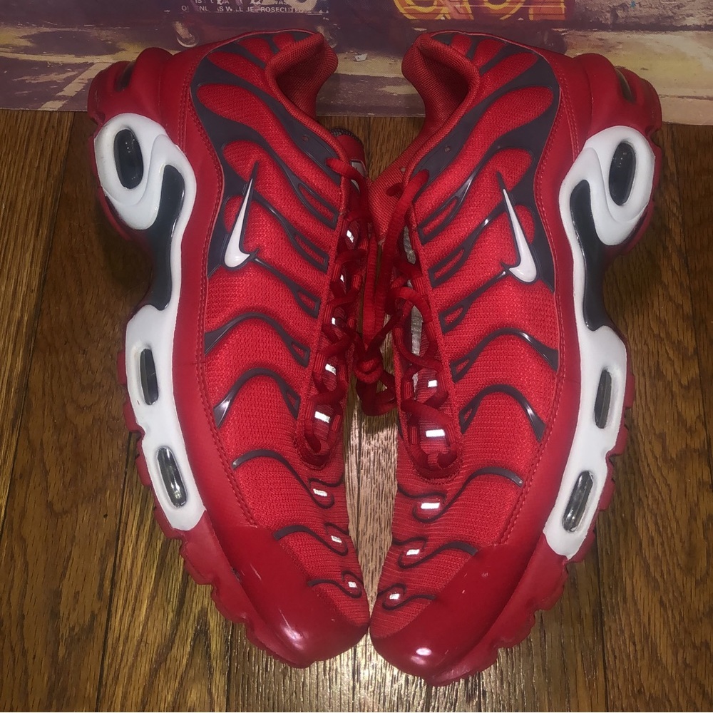 AIR MAX PLUS  (11 US)
